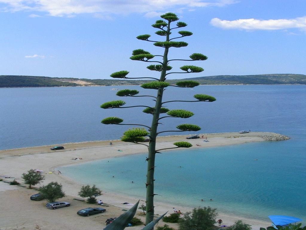 Guesthouse Marin Split Dış mekan fotoğraf